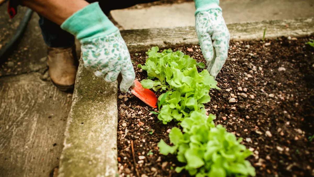 How to Start a Flower Garden