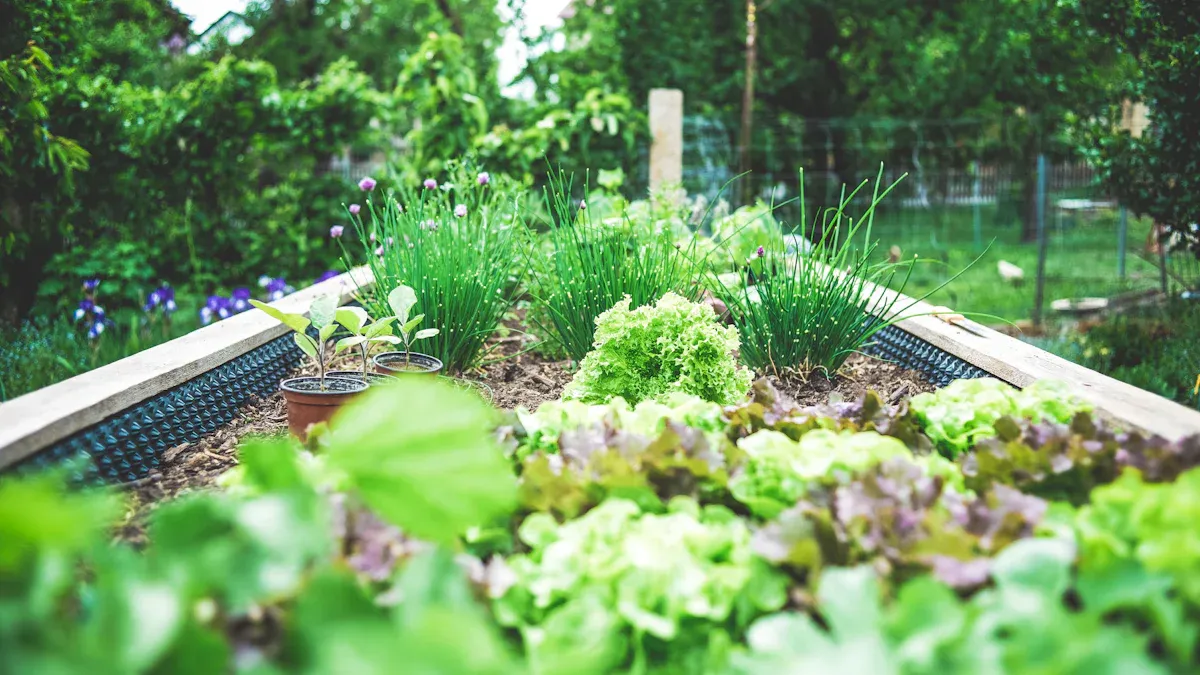 Identify Plant Diseases Early