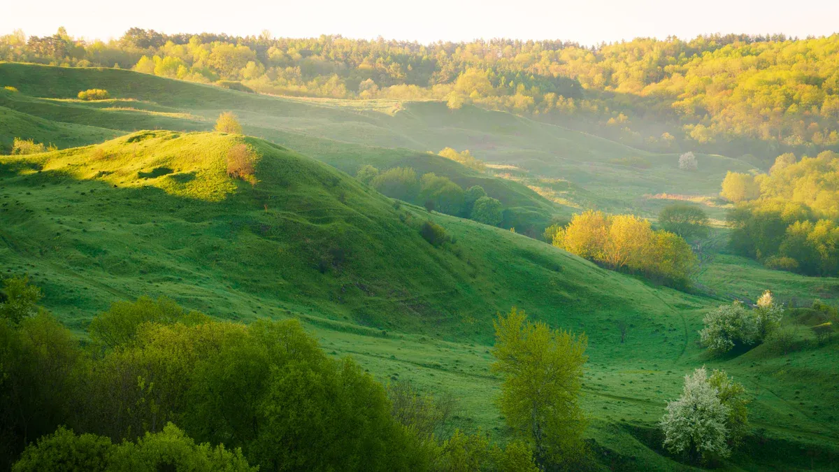 Sustainable Lawn Care Practices