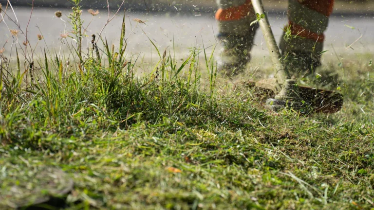 How to Sharpen Lawn Mower Blades for a Cleaner Grass Cut