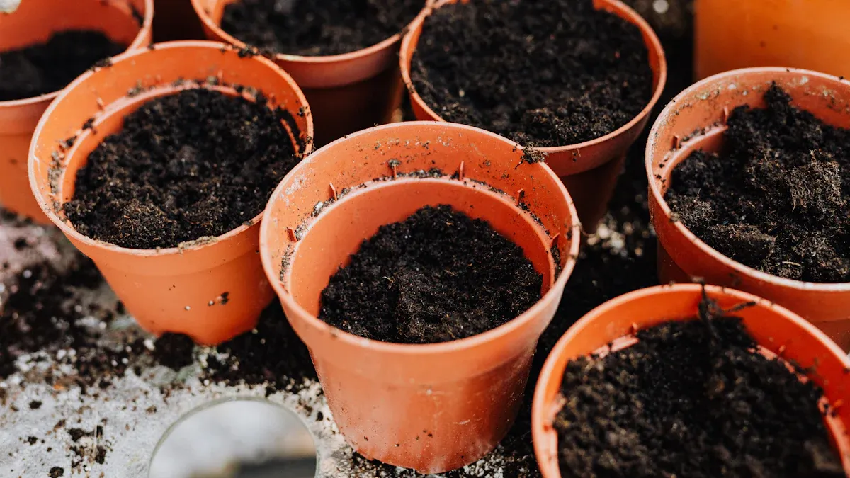 Container Gardening Made Easy: Best Pots, Soil Types & Watering Techniques