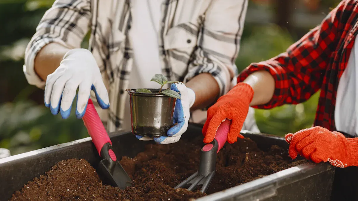 Lawn Fertilizer Guide: Understanding NPK Ratios & Application Methods
