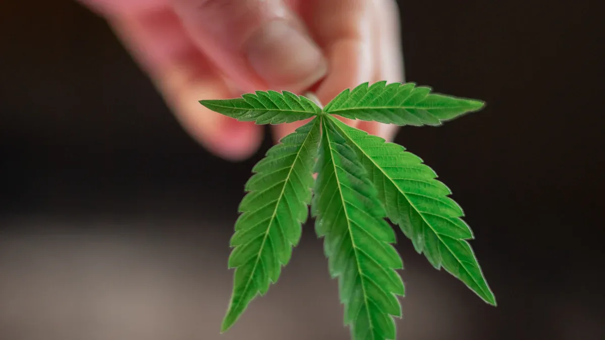 Natural Weed Control Solutions