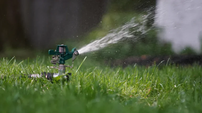 Lawn Care Guide: Mowing, Watering & Fertilizing for a Healthy Yard