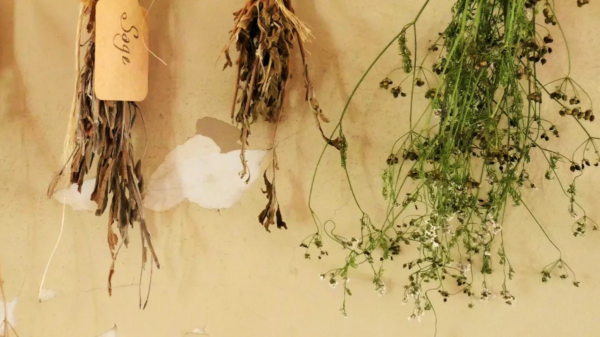 Herb Gardening Guide: Growing, Harvesting & Preserving Fresh Culinary Herbs