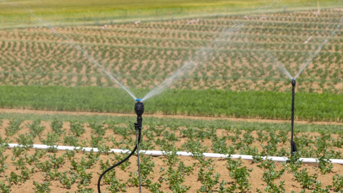 Irrigation Systems