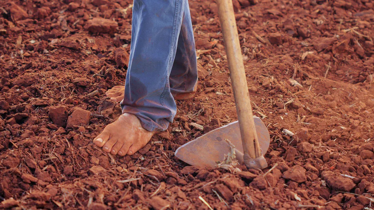 Soil Preparation