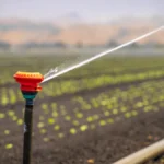 Lawn Watering Guide: Irrigation Systems, Sprinklers & Drought Management