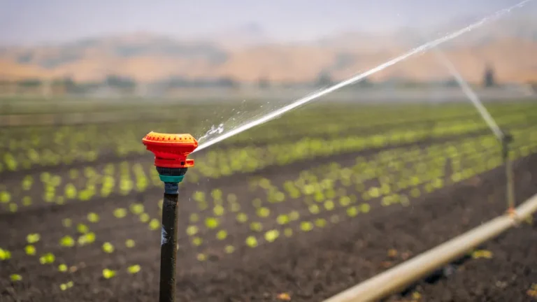 Lawn Watering Guide: Irrigation Systems, Sprinklers & Drought Management