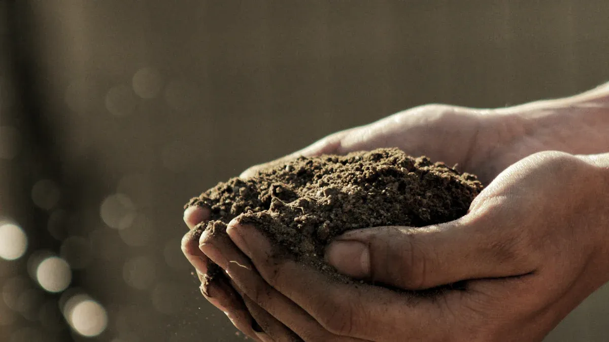 Soil Health