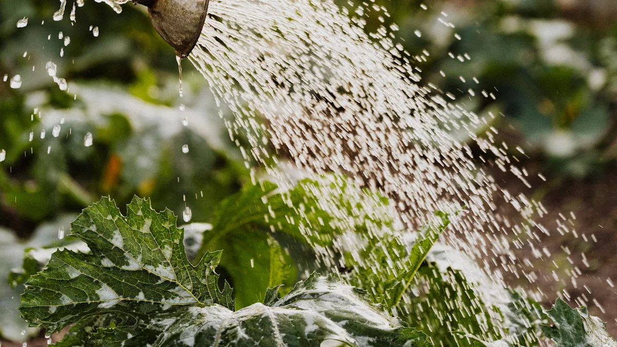 Plant Watering Guide: Overwatering vs Underwatering Symptoms