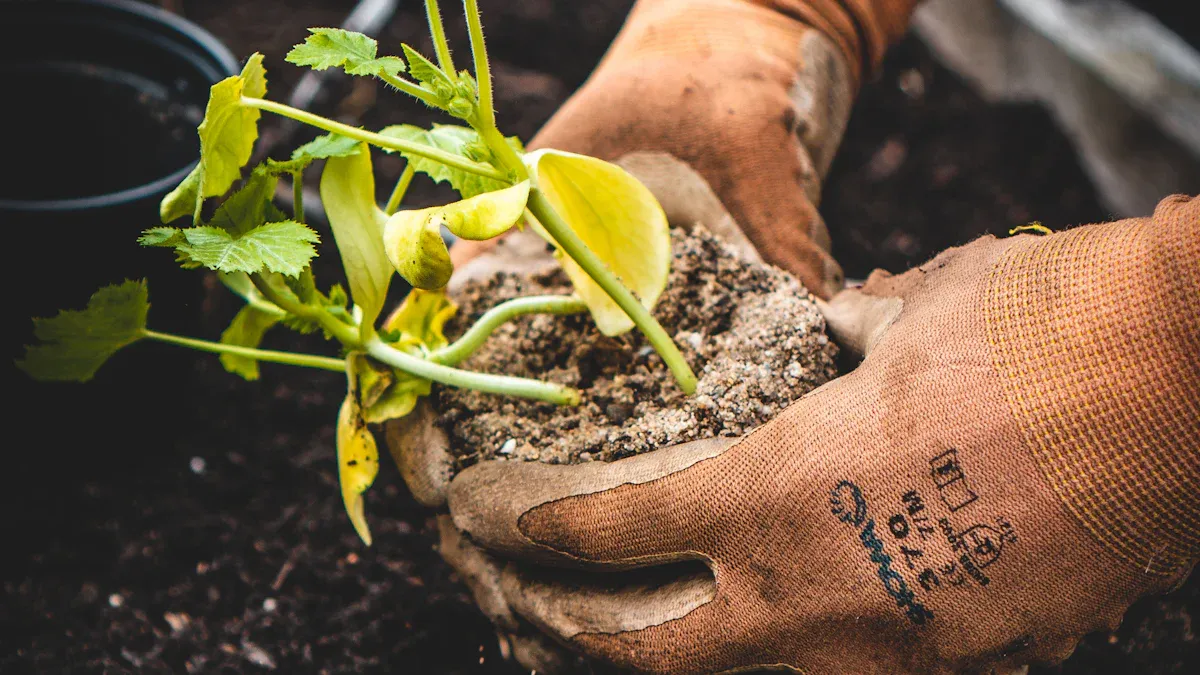 Home Gardening: Soil Preparation, Planting Schedules & Seasonal Care