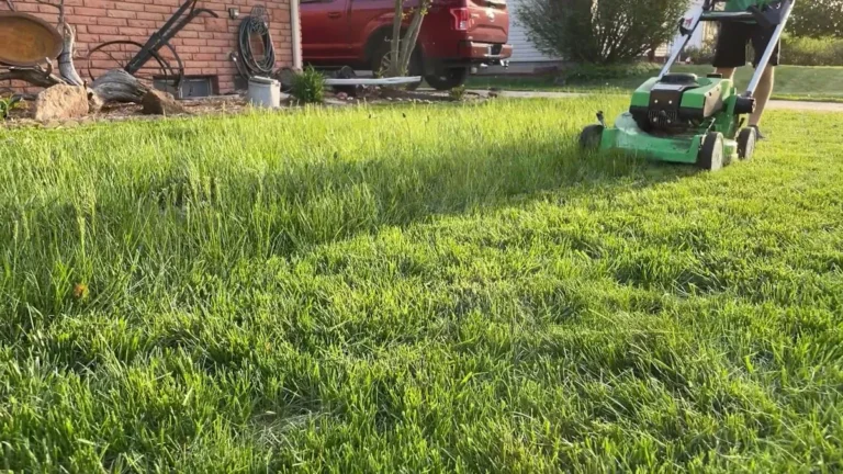 Battery-Powered Lawn Mowers: Runtime, Charging & Long-Term Costs