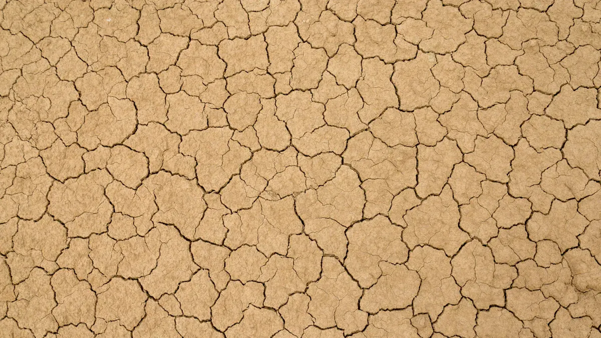 Water-Saving Lawn Care