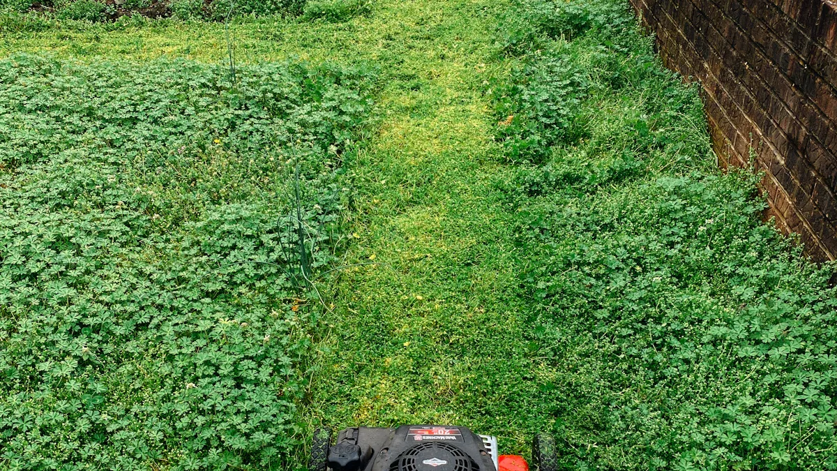 Mulching vs Bagging: Choosing the Right Lawn Mower Setting