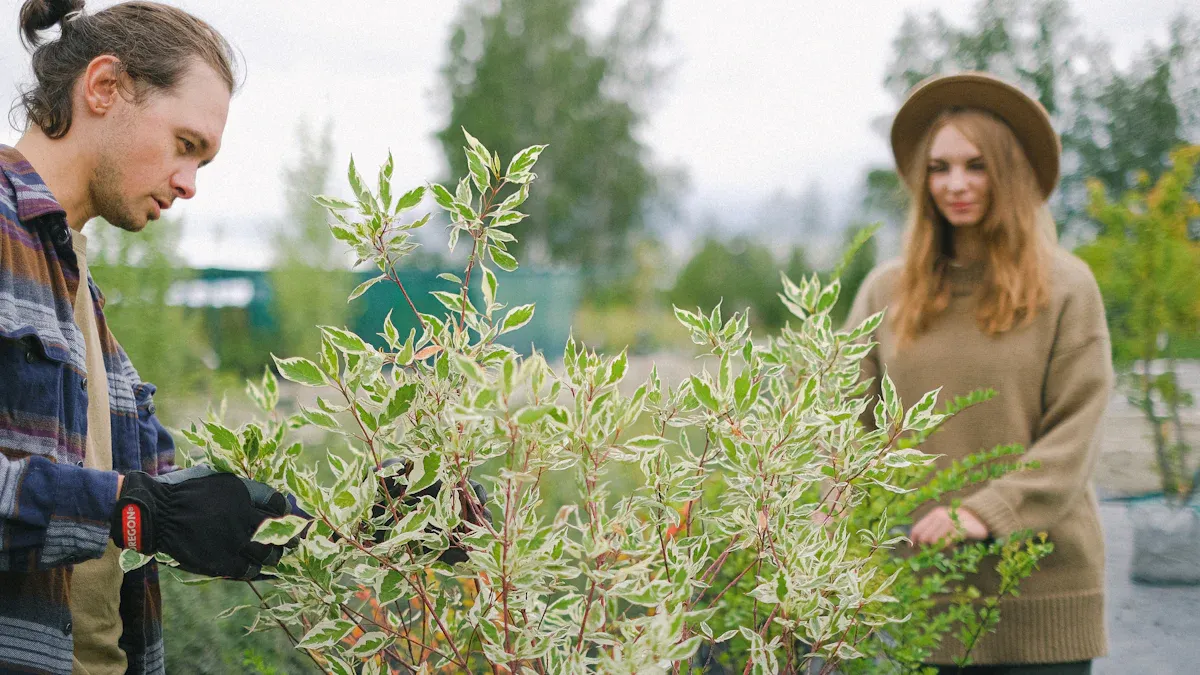 Winter Plant Care Calendar
