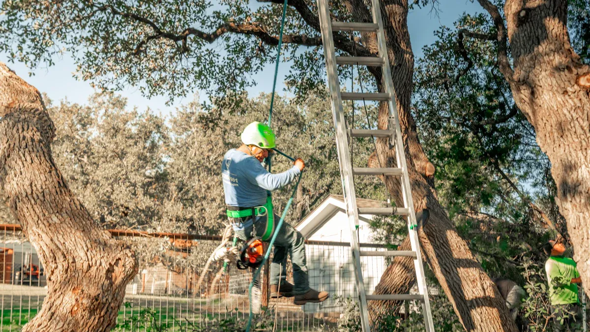 Pruning Techniques for Healthy Growth: Trees, Shrubs & Flowers