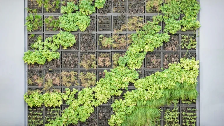 Urban Gardening Strategies: Maximizing Small Spaces with Vertical & Rooftop Gardens
