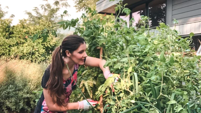 Vegetable Gardening for Beginners: Seed Starting, Crop Rotation & Harvest Tips