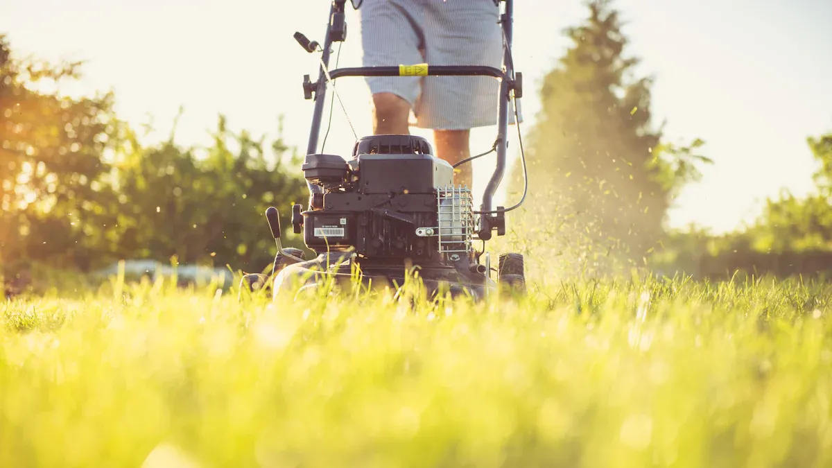 Mowing Tips for a Healthy Lawn