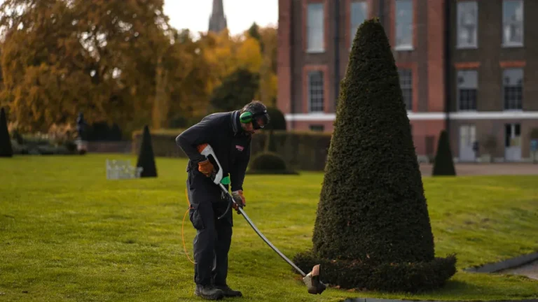 Lawn Maintenance Checklist