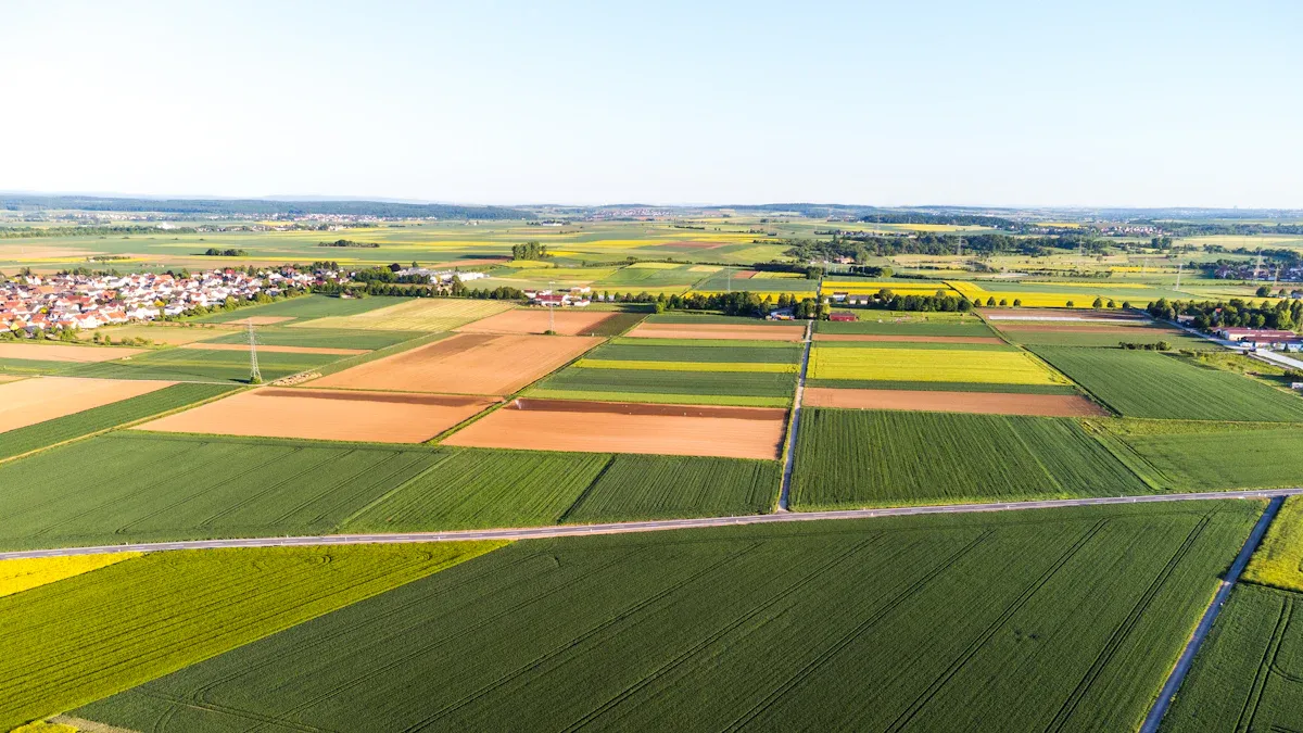 Crop Rotation Techniques