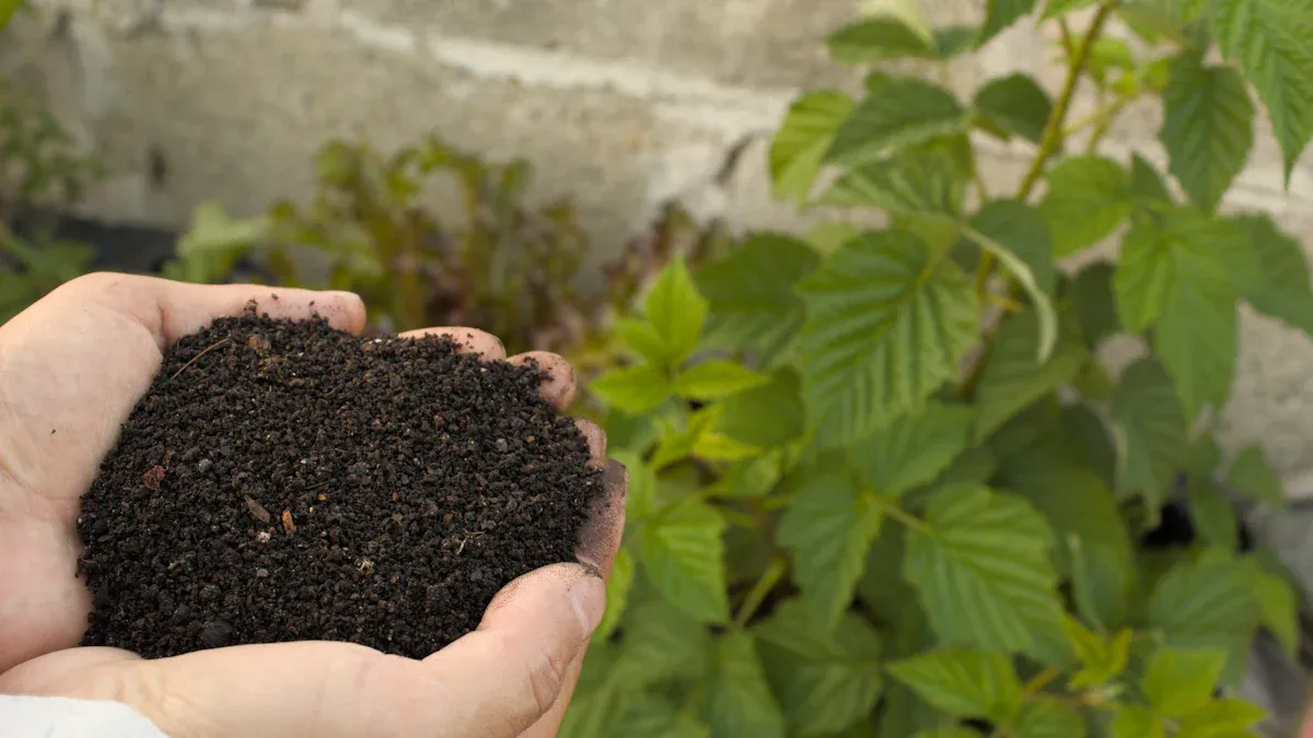 Fertilizer Basics for Plants: Organic vs Synthetic Nutrients