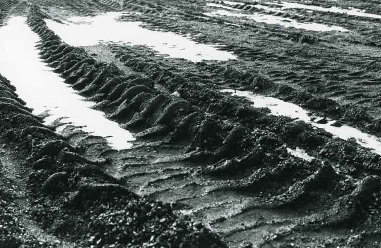 fixing tire ruts lawn