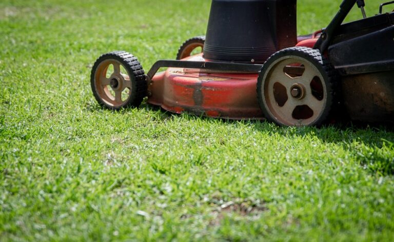 grass cutting frequency guide