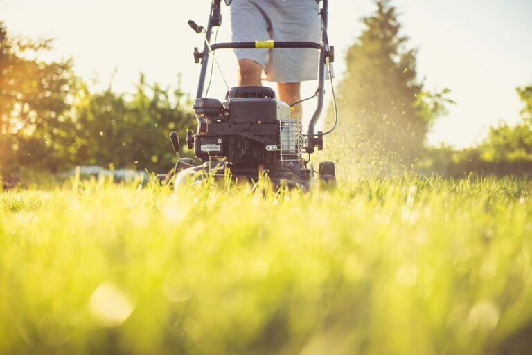mow grass after rain