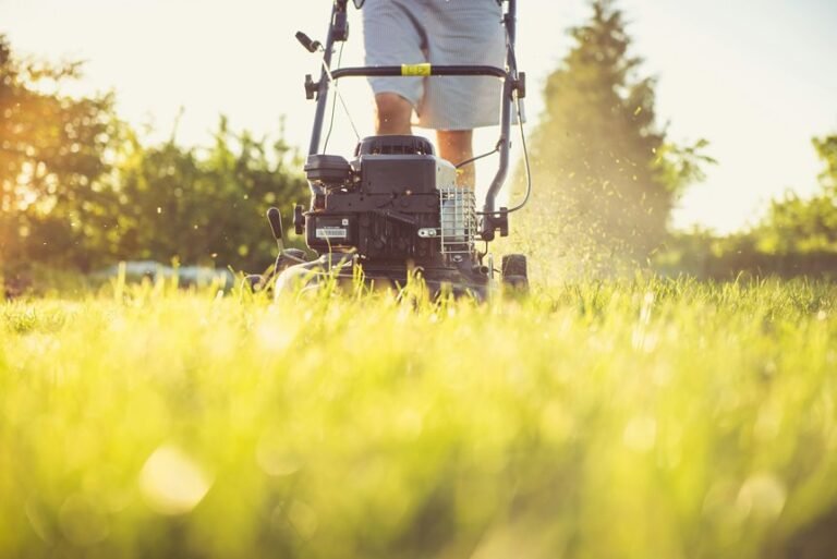 mowing frequency for st augustine